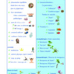 Booster son immunité naturellement